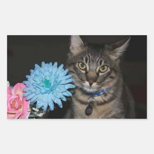 花のシールを貼った猫のポーズ 長方形シール (正面)