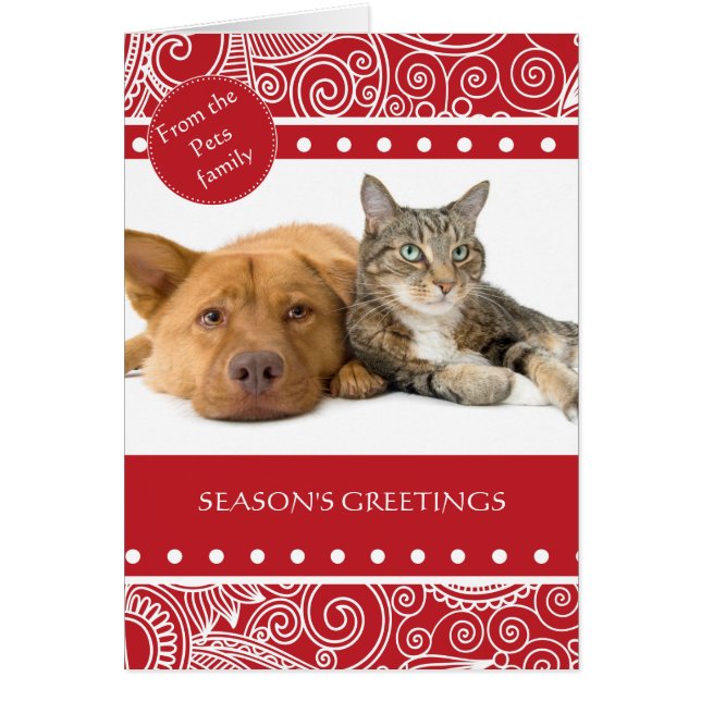 花のジャングルの季節のご挨拶 (正面)