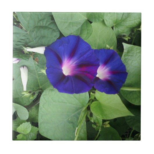 花のセラミックタイル タイル (正面)