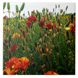 花のセラミックタイル: 花分野、カールズバッドCA. タイル