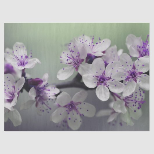 花のティッシュペーパー 薄葉紙 (正面)