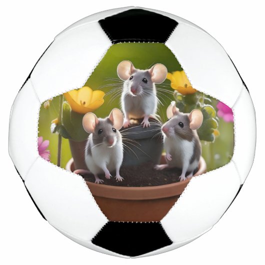 花のネズミの三ポット サッカーボール (正面)