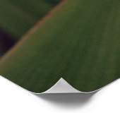 花のビーチ ポスター (角)