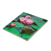 花のピンクの蓮 タイル (側面)