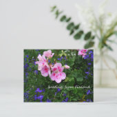 花のフィンランド、シリーズの1番目 ポストカード (スタンド正面)