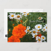 花のフィンランド、4番目のシリーズ ポストカード (正面/裏面)