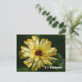花のフィンランド、5番目のシリーズ ポストカード (スタンド正面)