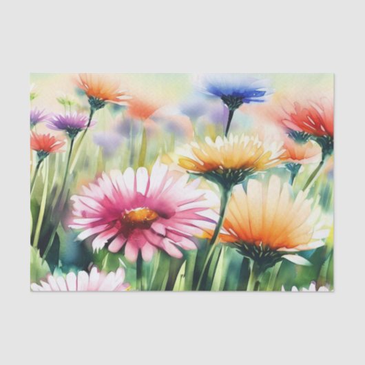 花のフィールド – ガーベラデイジー(D)水色 薄葉紙 (正面)