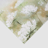 花のフィールド – クイーンアンズレース(B)水彩色 薄葉紙 (詳細)