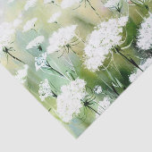 花のフィールド – クイーンアンズレース(C)水彩色 薄葉紙 (詳細)