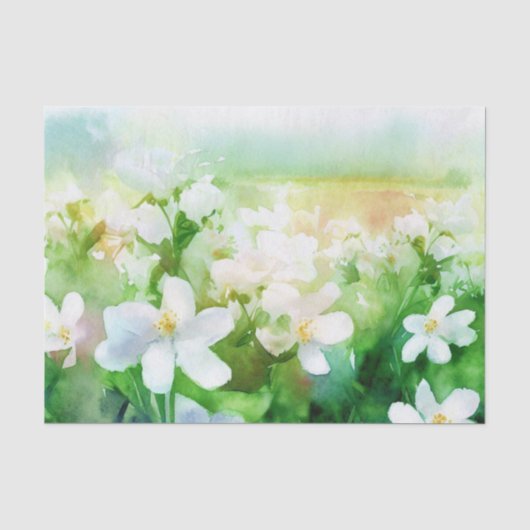 花のフィールド – ジャスミン(C)水色 薄葉紙 (正面)