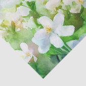 花のフィールド – ジャスミン(C)水色 薄葉紙 (詳細)