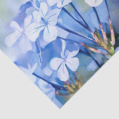 花のフィールド – プラムバゴ(D)水色 薄葉紙 (詳細)