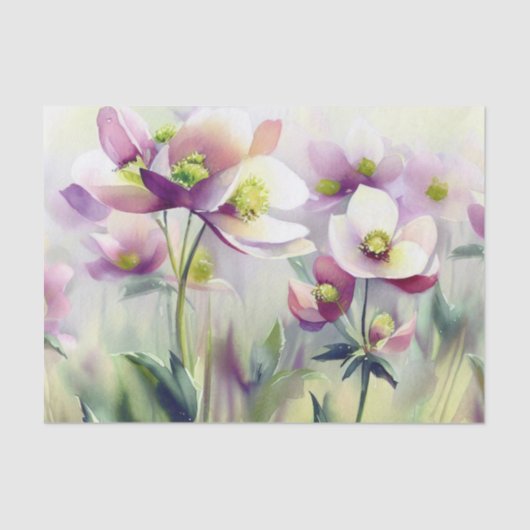 花のフィールド – ヘレボア(B)水色 薄葉紙 (正面)