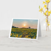 「花のフィールド」折り返し空白のグリーティングカード カード (黄色い花)