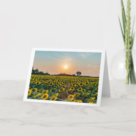 「花のフィールド」折り返し空白のグリーティングカード カード