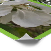 花のフォトアートの編集 ポスター (角)