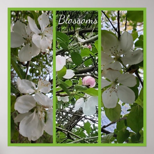 花のフォトアートの編集 ポスター (正面)