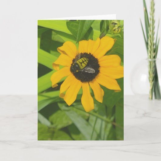 花のフォトグリーティングカード空白ので休む カード (正面)