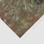 花のフランスの分野で猫を分離 薄葉紙 (詳細)