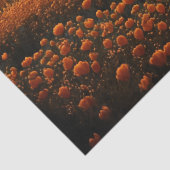 花のフルムーンオレンジ色のフィールドのデコページ 薄葉紙 (詳細)