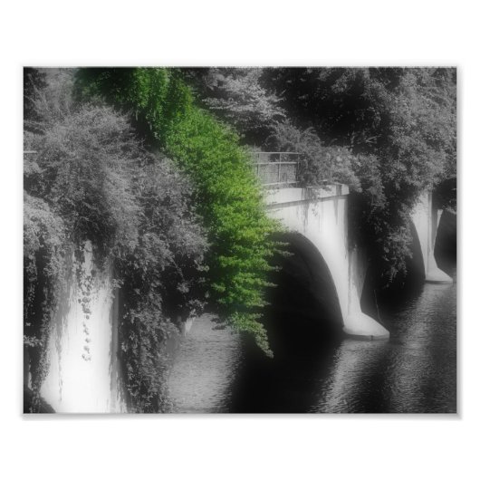 花のブリッジ部分色8 x 10 フォトプリント (正面)
