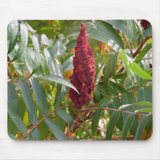 花のプルーム マウスパッド (正面)