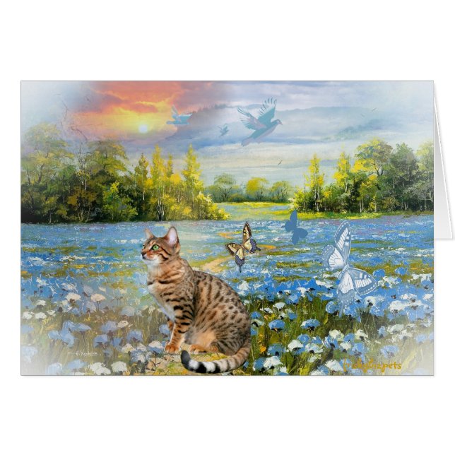 花のベンガル分野 (正面横)