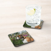 花のボクサー犬 コースター (右側)