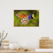 花のポスターを抱擁する油濁湾蝶 ポスター (キッチン)