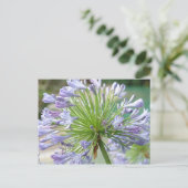 花のポストカード ポストカード (スタンド正面)