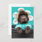 花のポットグリーティングカードに入った子犬 サンキューカード (正面/裏面)