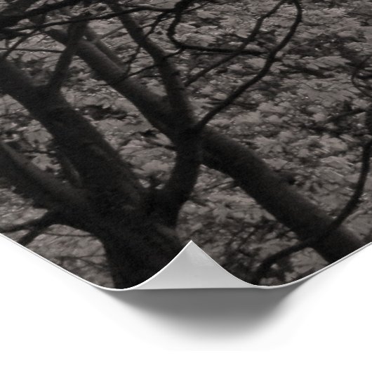 花のマグノリアの木01 ポスター (角)