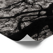 花のマグノリアの木02 ポスター (角)