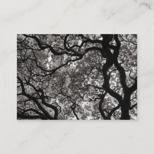 花のマグノリアの木02 名刺 (正面)