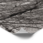 花のマグノリアの木03 ポスター (角)