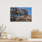 花のマグノリアの木 ポスター (キッチン)