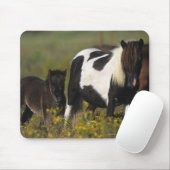 花のミニチュアロバ及び子馬 マウスパッド (マウス)