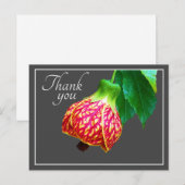 花のメープル 花 グレー背景 ありがとう ポストカード (正面/裏面)