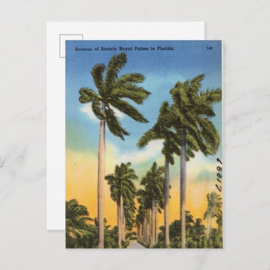 花のヤシの木 ヴィンテージ フロリダ ポストカード (正面/裏面)