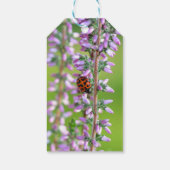 花のラディバード –  ギフトタグ (裏面)