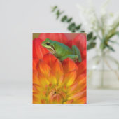 花の上にカエルの太平洋 ポストカード (スタンド正面)