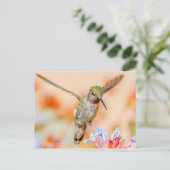 花の上にピンク色の喉を飛んでいる持つハミングバード ポストカード (スタンド正面)