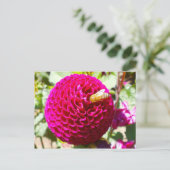 花の上にミツバチ ポストカード (スタンド正面)