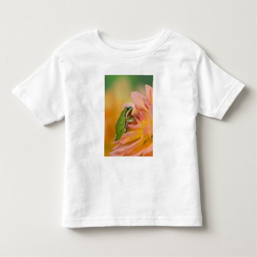 花の上に咲く太平洋の木のカエル， 2 トドラーTシャツ (正面)
