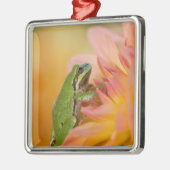 花の上に咲く太平洋の木のカエル, 2 メタルオーナメント (左)