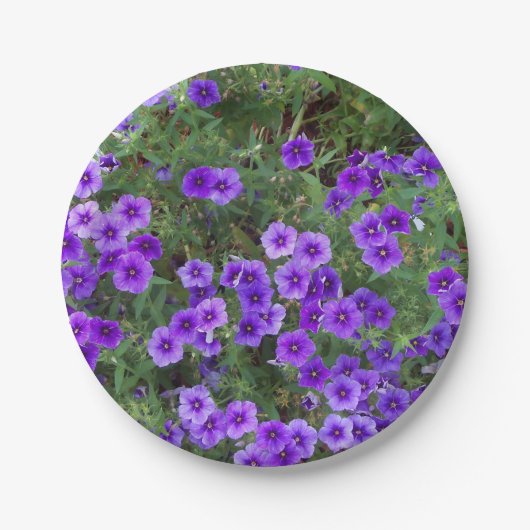 花の上に紫色のフロックス ペーパープレート (正面)