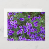 花の上に紫色のフロックス ポストカード (正面/裏面)