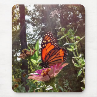 花の上に（昆虫）オオカバマダラ、モナークをストリーミング マウスパッド