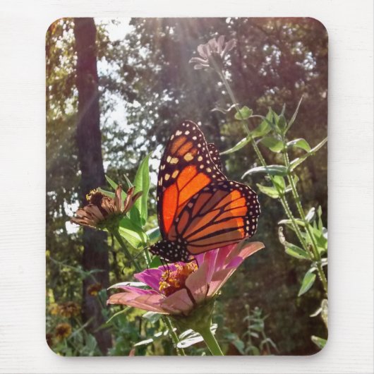 花の上に(昆虫)オオカバマダラ、モナークをストリーミング マウスパッド (正面)